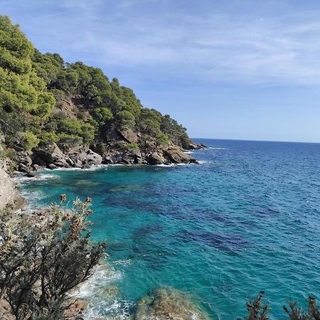 Vue Panoramique Exceptionnelle Leilighet Le Lavandou Eksteriør bilde