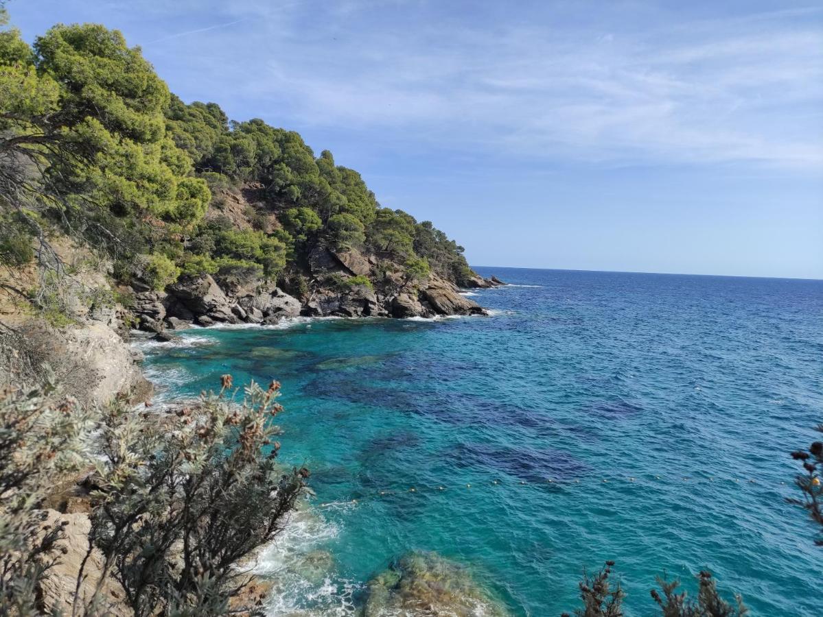 Vue Panoramique Exceptionnelle Leilighet Le Lavandou Eksteriør bilde