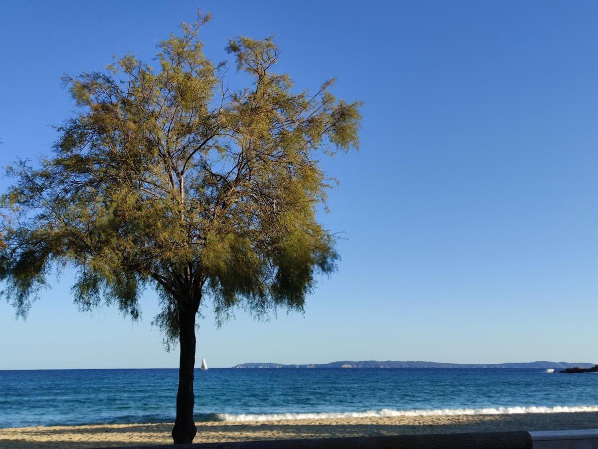 Vue Panoramique Exceptionnelle Leilighet Le Lavandou Eksteriør bilde